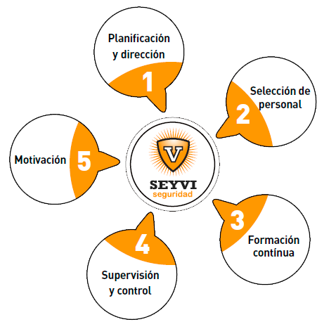 SEYVI SEGURIDAD